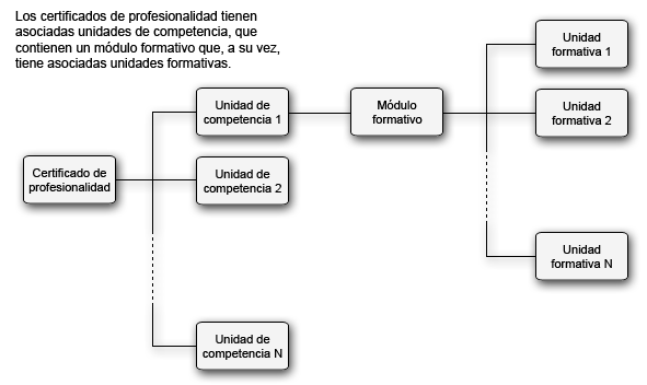 Certificado de profesionalidad